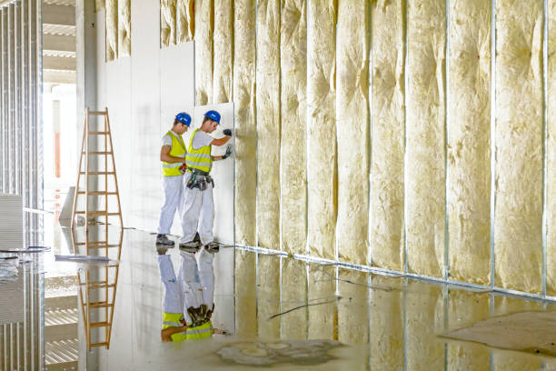 Best Insulation Maintenance and Repair in Merritt Park, NY